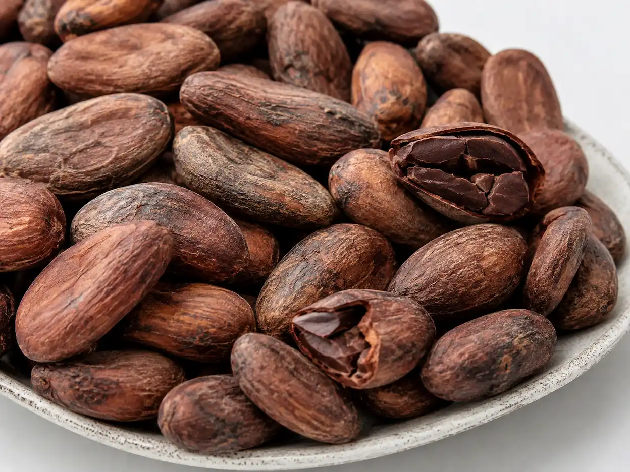 Organic cocoa beans in bulk format