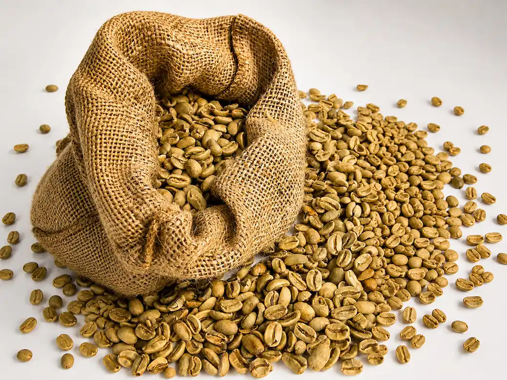 Organic green coffee beans