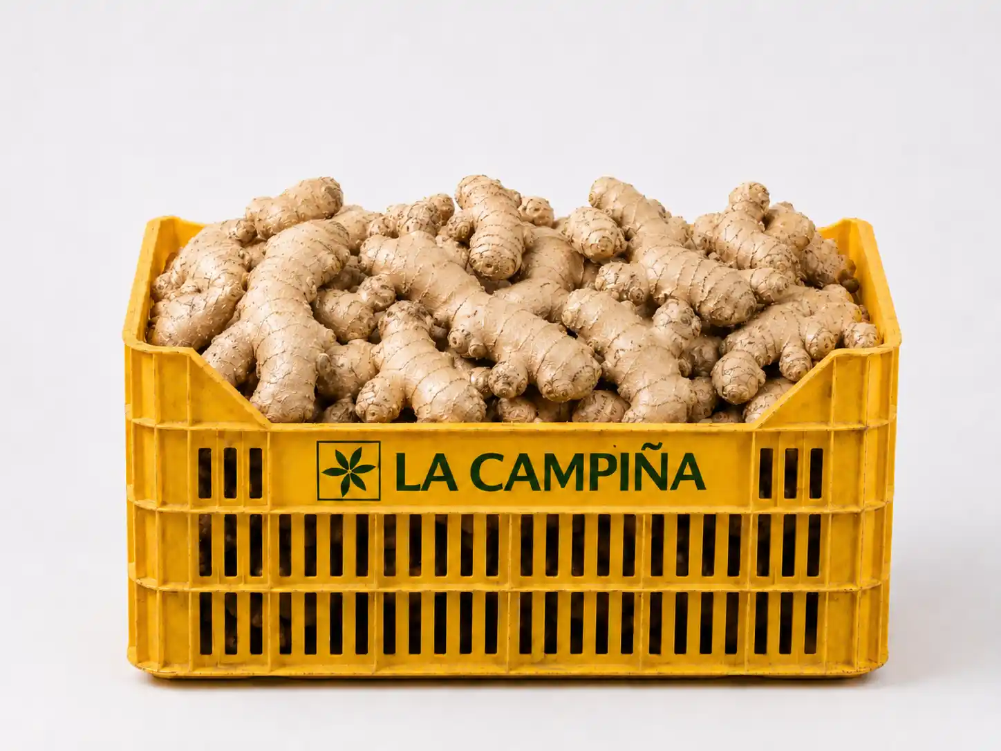 Fresh organic ginger