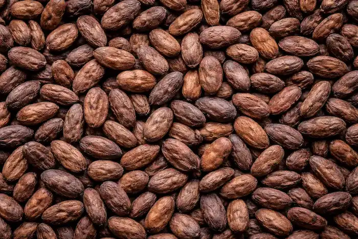 Cocoa ingredients