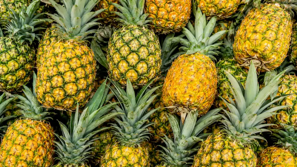 Organic pineapple ingredients