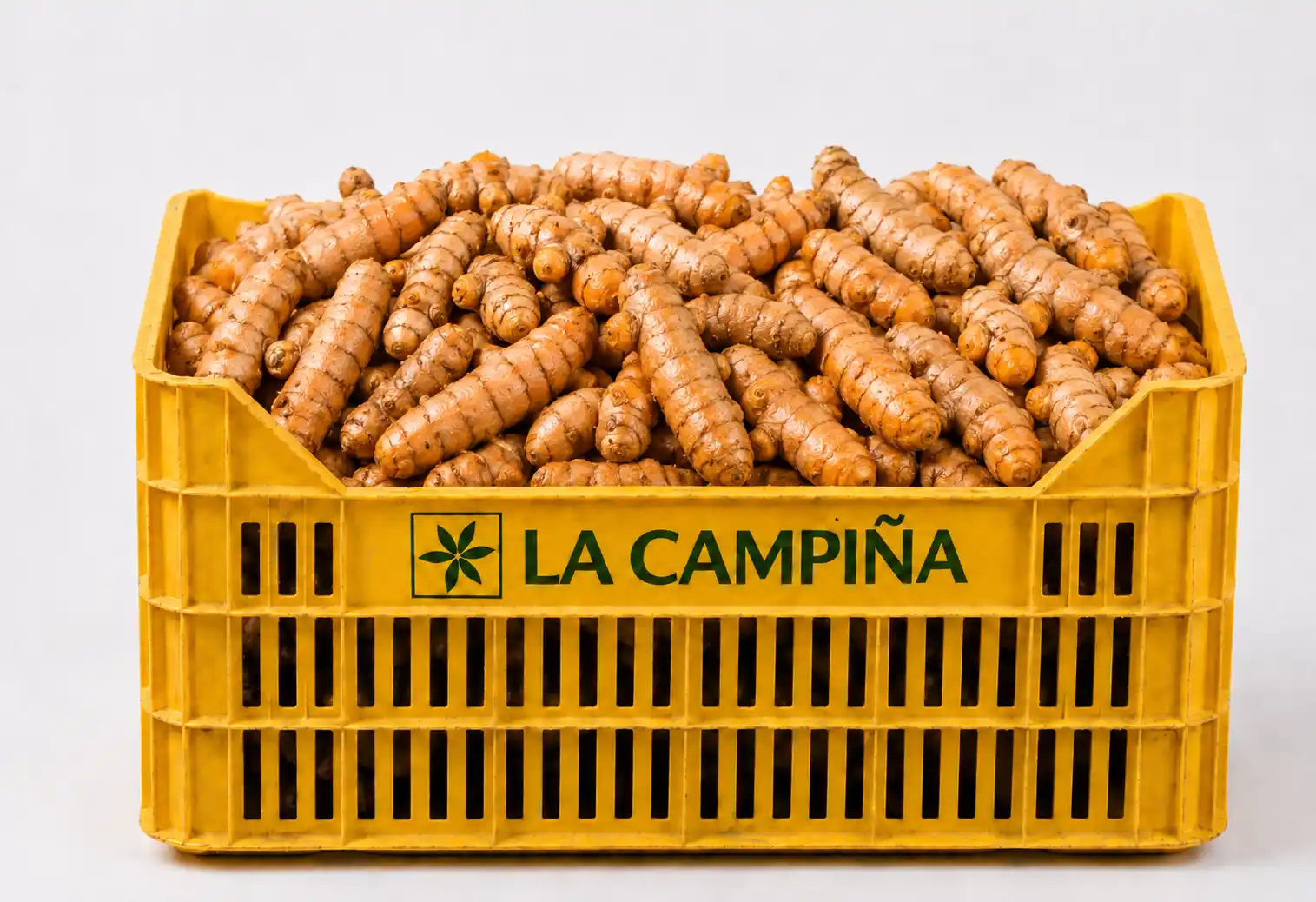 Fresh organic turmeric